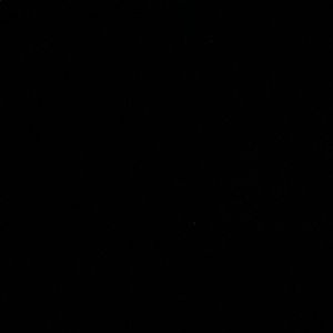 Meet your Posher, Ashton